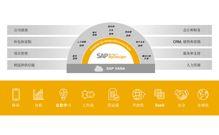 SAP Business ByDesign|SAP BYD
